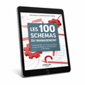 Les 100 Schémas du Management : Les modèles essentiels pour réussir en stratégie, organisation et leadership